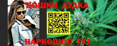 гашик Донецк
