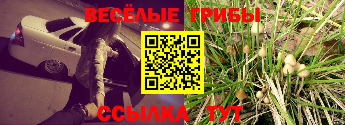 как найти наркотики  Вход с VPN  Дальнегорск  Галлюциногенные грибы мицелий 